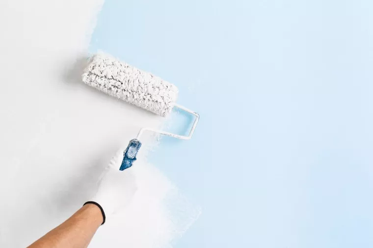 Comment appliquer de l'enduit de lissage au rouleau ?, Pays de Gex, Home Décor